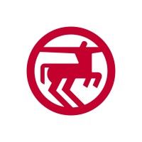 Rossmann Polska is using Conceptboard