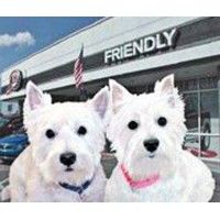 Friendly Kia is using DealerSocket
