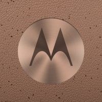 MOTOROLA DACH is using Cyberhaven