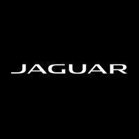 JAGUAR is using Tidio