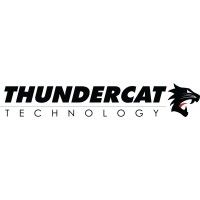 ThunderCat Technology is using Govly