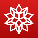 Logo of Mathematica