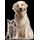 Logo of Ahsay Backup