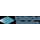 Logo of Intellectus Statistics