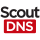 Logo of ScoutDNS
