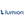 Logo of Lumion