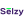 Logo of Selzy