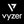 Logo of Vyzer