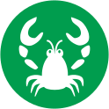 Logo of Lobster_data