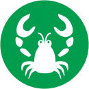 Logo of Lobster_data