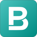 Logo of BigPicture
