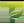 Logo of Windows Server