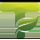 Logo of Windows Server