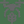 Logo of DroneNaksha