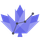 Logo of Maple