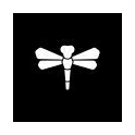 Logo of Dragonfly