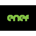 Logo of ENEF
