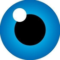 Logo of GlobalSign