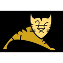Logo of Apache Tomcat