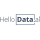 Logo of HelloData.ai