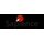 Logo of Sapience
