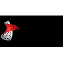Logo of Microsoft SQL Server 2017 Web on Windows Server 2019