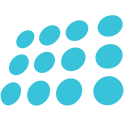 Logo of nopCommerce