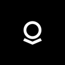 Logo of Palantir HyperAuto