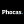 Logo of Phocas Software