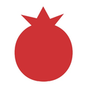 Logo of VISUAL ASSIST