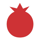 Logo of VISUAL ASSIST