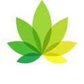 Logo of IndicaOnline