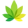 Logo of IndicaOnline