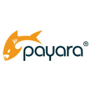 Logo of Payara Server