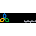 Logo of Digizuite
