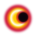 Logo of video sdk