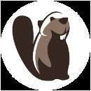 Logo of DBeaver