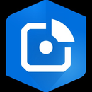 Logo of ArcGIS IPS