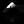 Logo of Inkscape