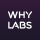 Logo of WhyLabs