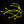 Logo of MiniAiLive Face Recognition