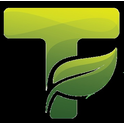 Logo of Vue.js