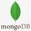 Logo of MongoDB Compass