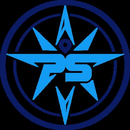 Logo of PlayNSports.com