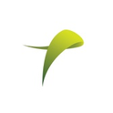 Logo of Timba