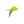 Logo of Timba